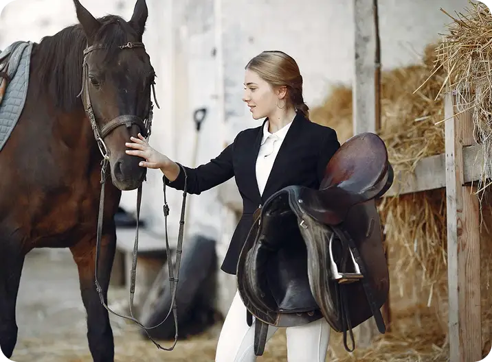 Летняя конюшня