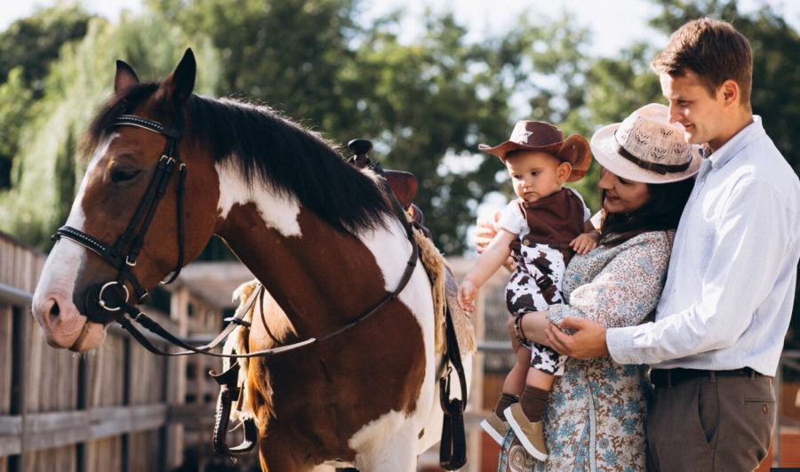  Фотосессии на Ранчо «‎Сальвадор»