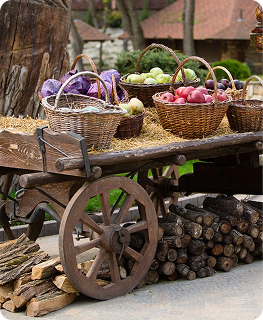 Программы выходного дня