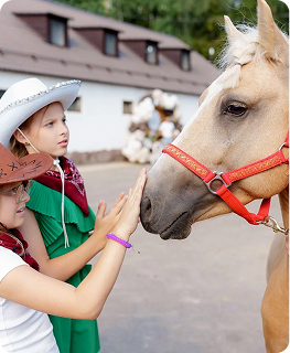Мероприятия под ключ