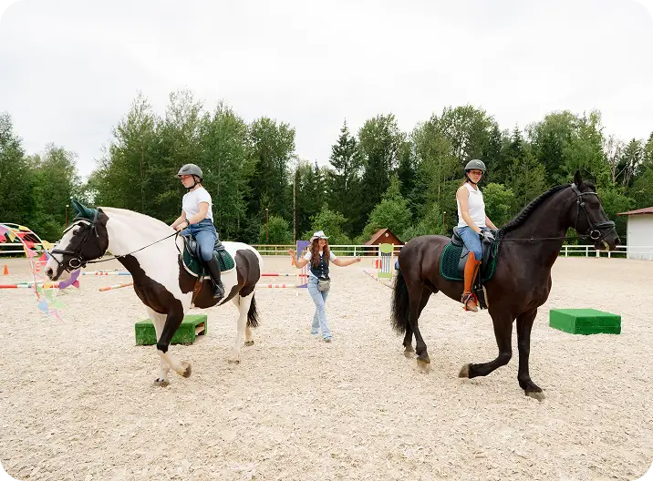 Левады для выгула