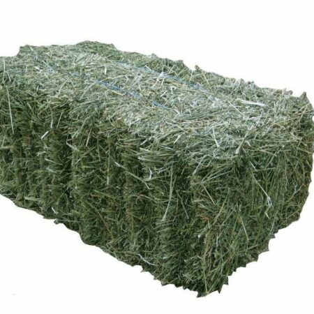 Сено в тюках высшего сорта