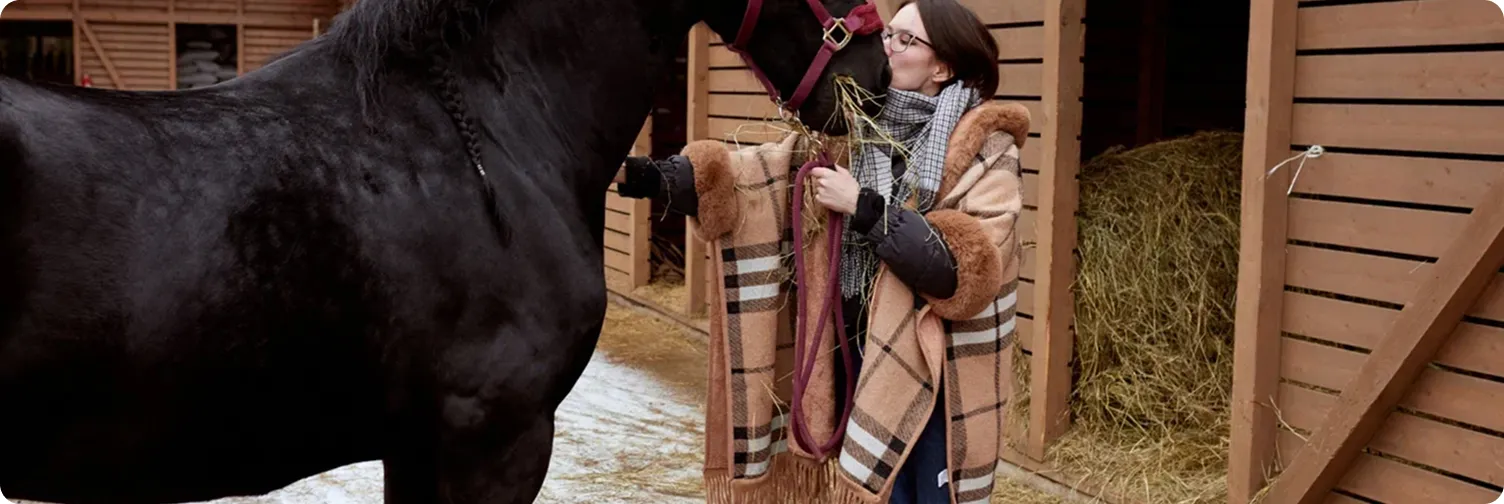 Ранчо «Сальвадор» — идеальный постой для вашей лошади