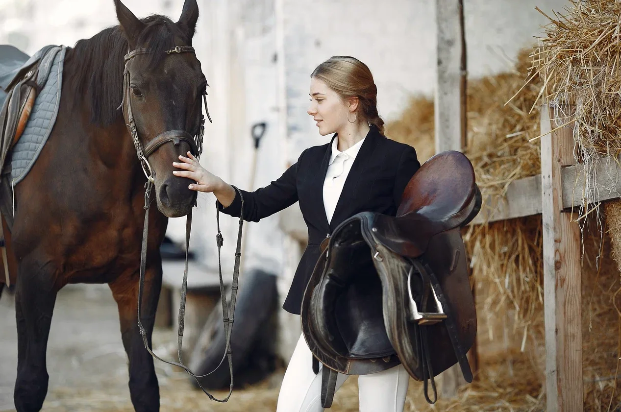 Школа верховой езды