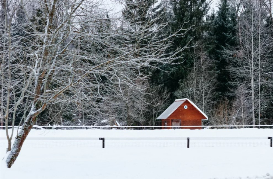  Аренда помещений и зон на ранчо «Сальвадор»
