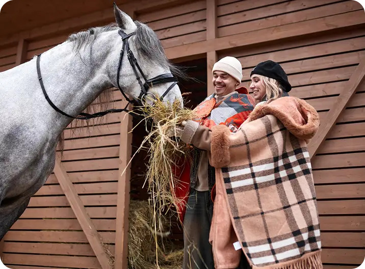 Сенники и хранение кормов
