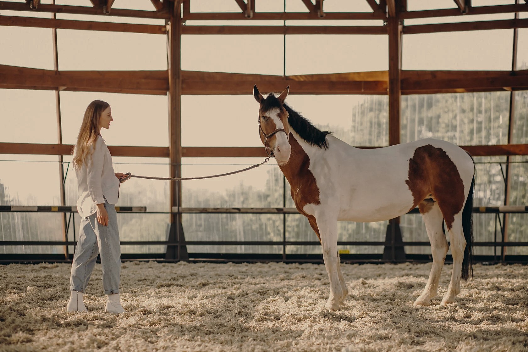 Сертификаты на Ранчо «‎Сальвадор»