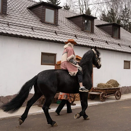 Иппотерапия