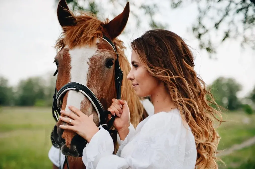 Главное изображение сертификаты на Ранчо «сальвадор»